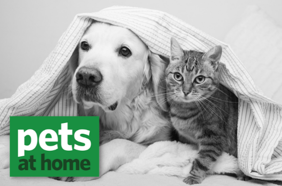 cute dog and cat under blanket with pets at home logo